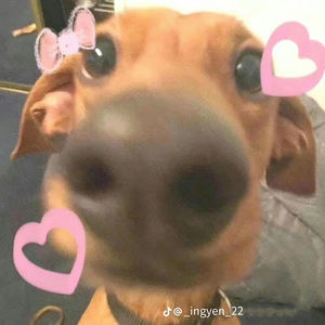 Meet your Posher, Ái ly